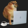tmayito