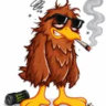 hawkkified