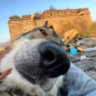 Selected profile picture