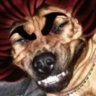 Matched profile picture