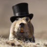 snoopanium