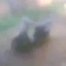 miom3ngattangatta