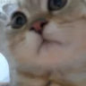 callme1312