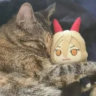 yuiseru01