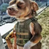 Matched profile picture