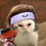 dj_lulu