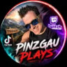 PinzgauPlays Zockerstube