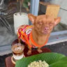 Selected profile picture