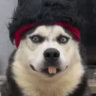 Selected profile picture