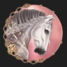 Star Stable Dressage