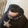 notmingo