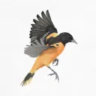 Matched profile picture