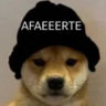 Matched profile picture