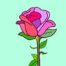 Selected profile picture