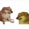 Matched profile picture