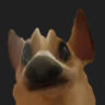 Matched profile picture