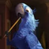 Selected profile picture