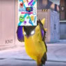 Selected profile picture