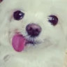 weluvugabby