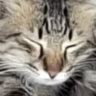 Profile picture for this group