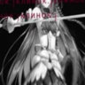 oneee sense / 256177