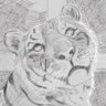 Matched profile picture