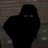 sirsaltyseal