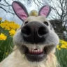 Selected profile picture