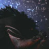 zvrfluffy