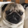 Matched profile picture