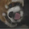 tdx_rr