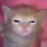 oscidod