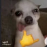 Matched profile picture