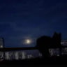 lunar_tides_