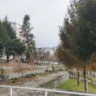 francisco_64115
