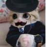 Matched profile picture