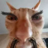 moyuremc