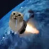 owenp_o