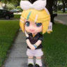 Selected profile picture