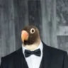 Profile picture