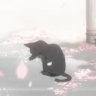 Invisible White Sword /nosuce
