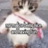 Selected profile picture
