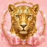 Kitti's Mesh Shop