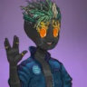 Selected profile picture