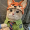 Matched profile picture