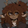 feverdr3am
