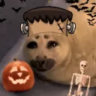 pai