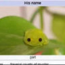 Selected profile picture