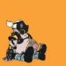 Matched profile picture