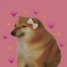 Selected profile picture